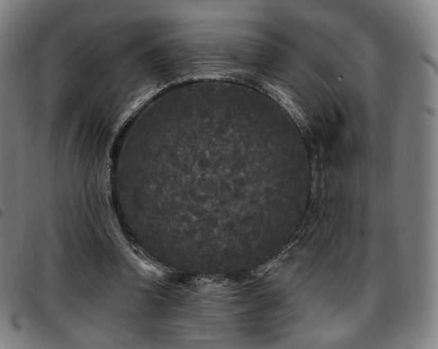 X0000097630346200802291346