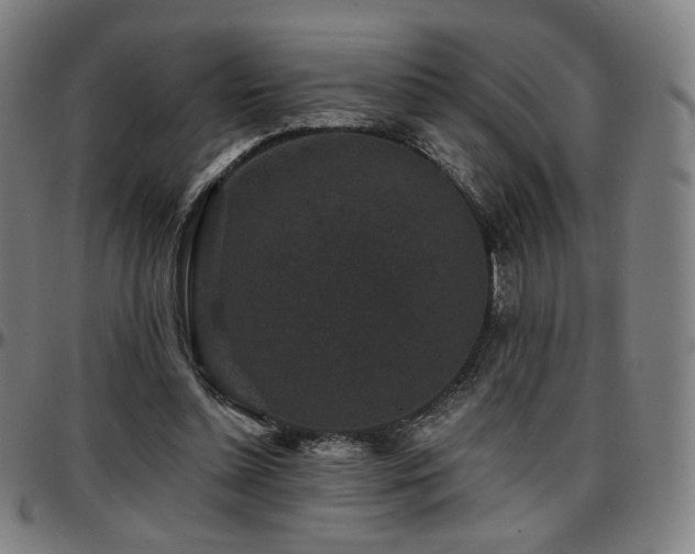 X0000097630348200802291346