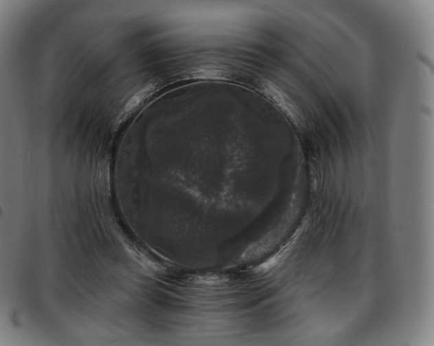 X0000097630349200802291346