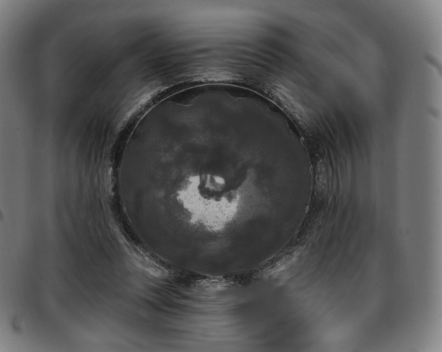X0000097630351200802291346