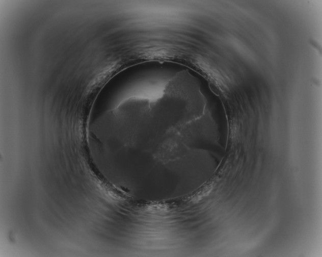 X0000097630353200802291346