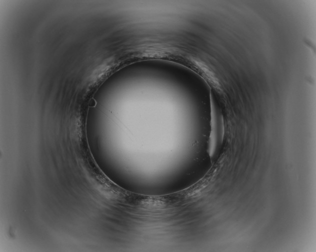 X0000097630354200802291346