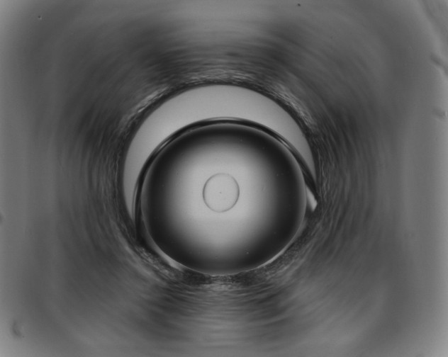 X0000097630356200802291346