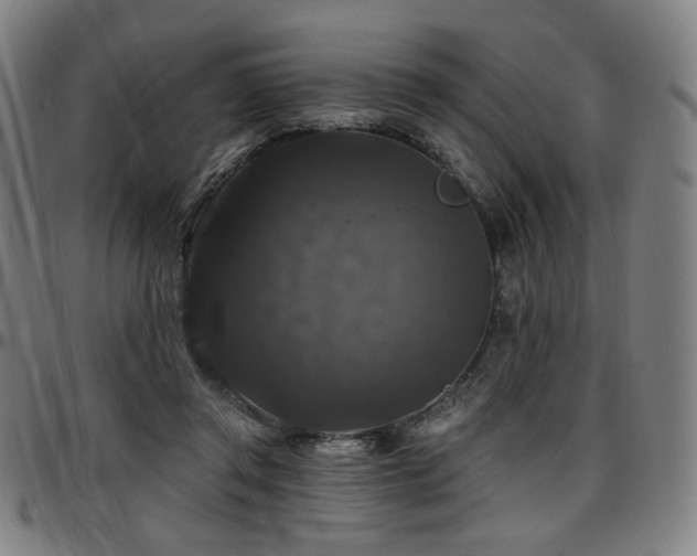 X0000097630357200802291346