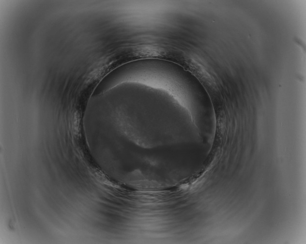 X0000097630359200802291346