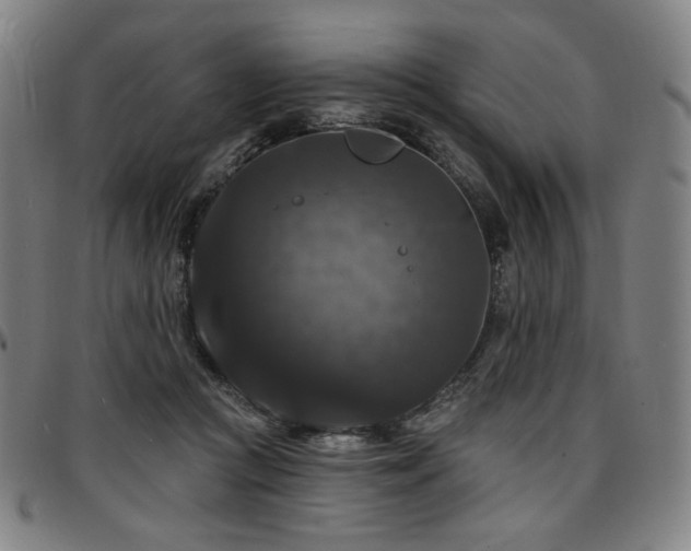 X0000097630361200802291346