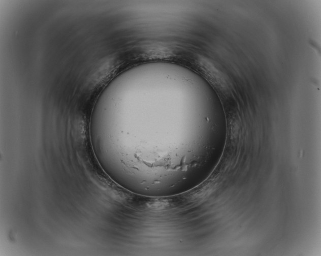 X0000097630362200802291346
