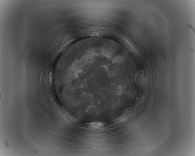 X0000097630363200802291346