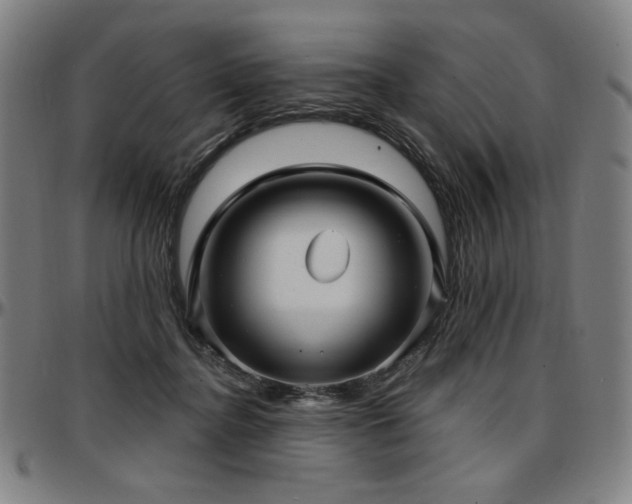 X0000097630364200802291346