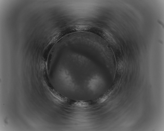 X0000097630367200802291346