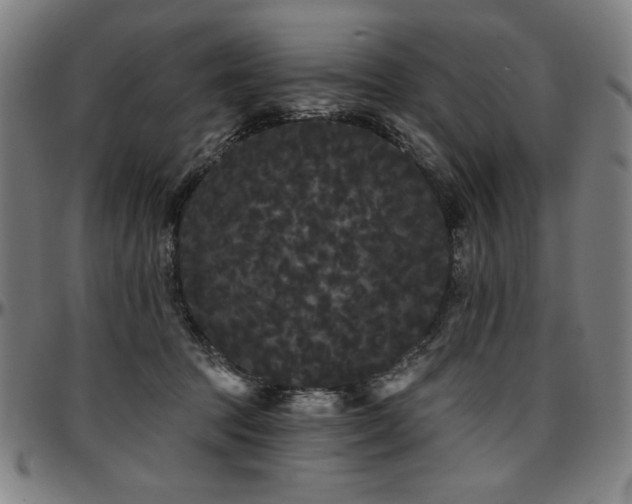 X0000097630369200802291346