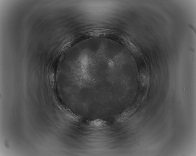 X0000097630375200802291346