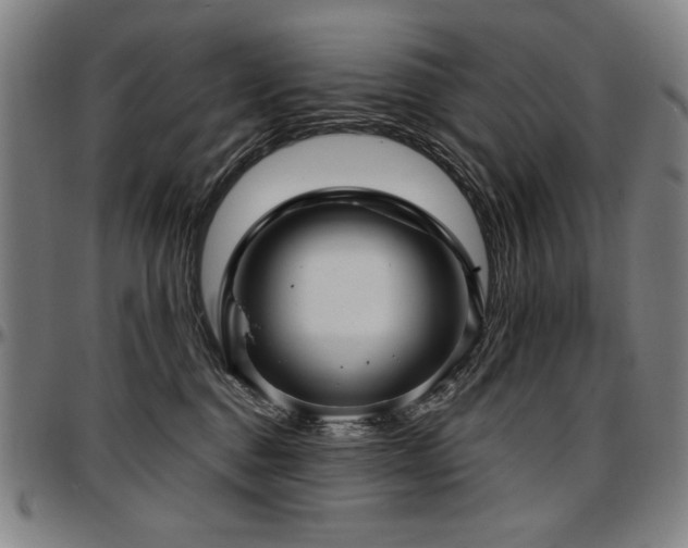 X0000097630376200802291346
