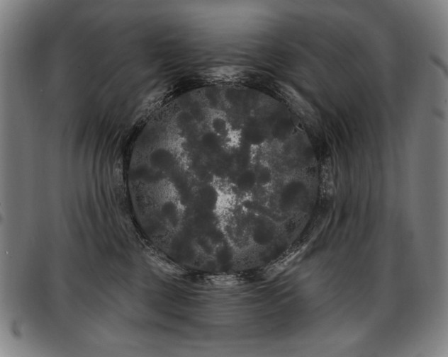 X0000097630377200802291346