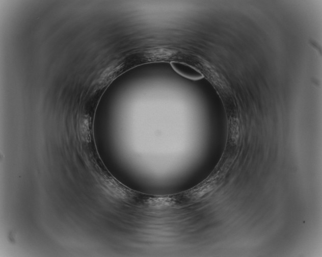 X0000097630378200802291346