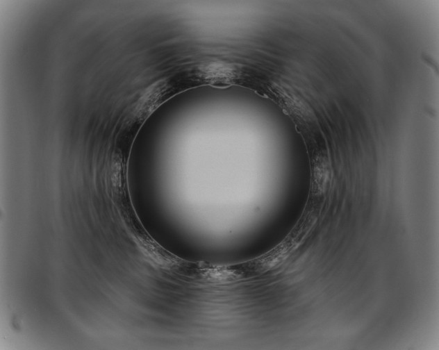 X0000097630379200802291346