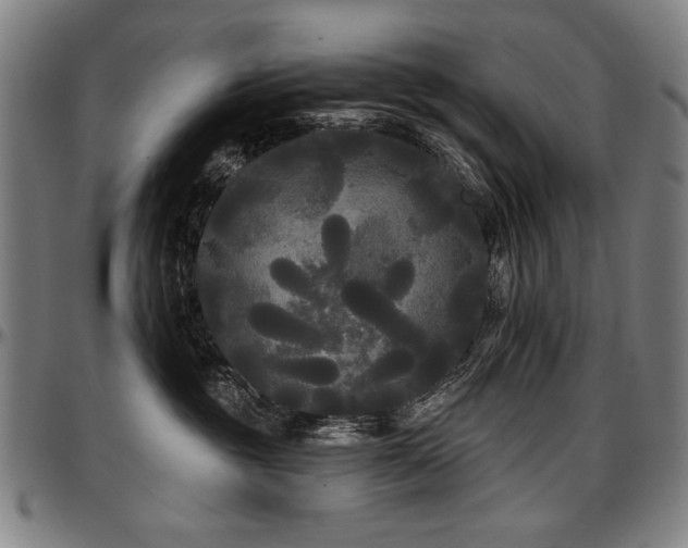 X0000097630381200802291346