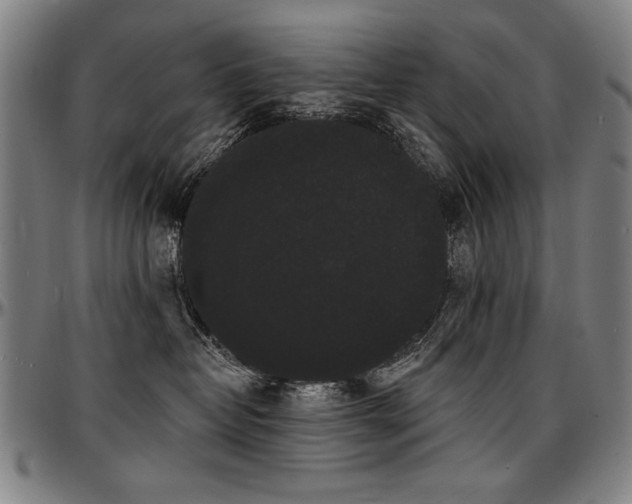 X0000097630382200802291346