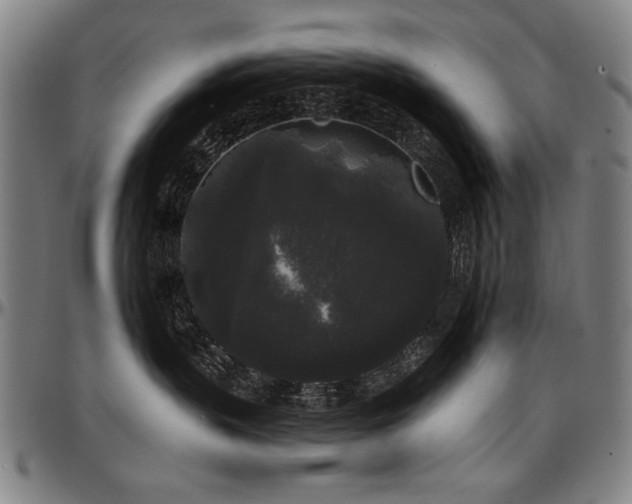 X0000097630383200802291346
