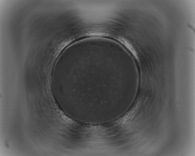 X0000097630385200802291346
