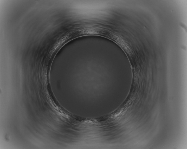 X0000097630386200802291346