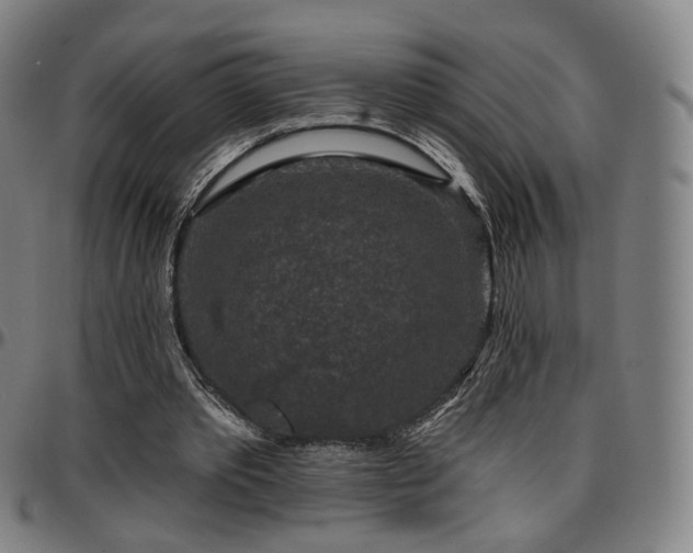 X0000097630389200802291346