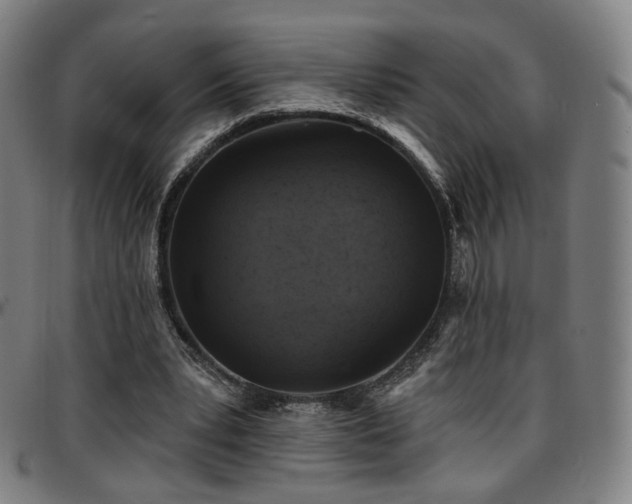 X0000097630391200802291346