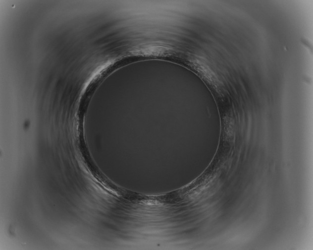 X0000097630392200802291345