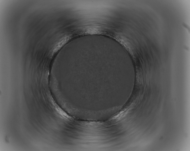 X0000097630393200802291345
