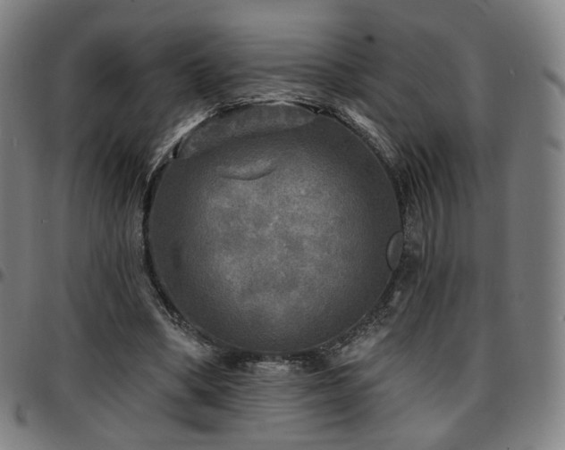X0000097630394200802291345