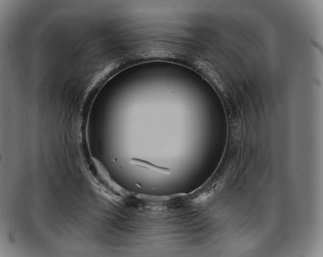 X0000097630395200802291345
