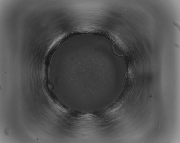 X0000097630396200802291345