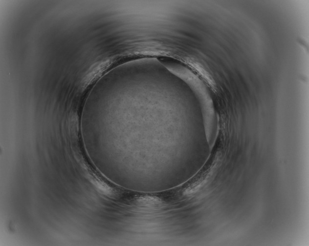 X0000097630397200802291345