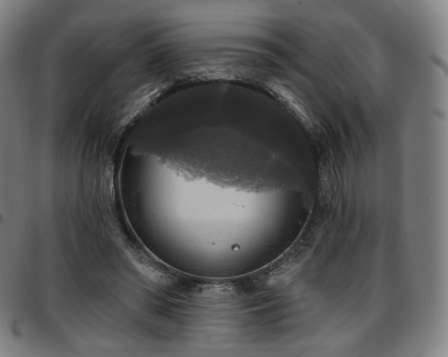 X0000097630398200802291345