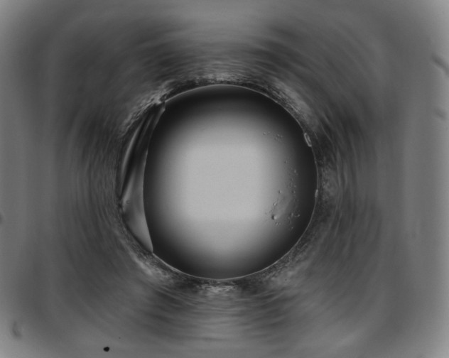 X0000097630401200802291345