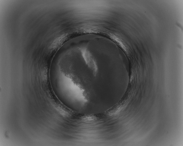X0000097630402200802291345