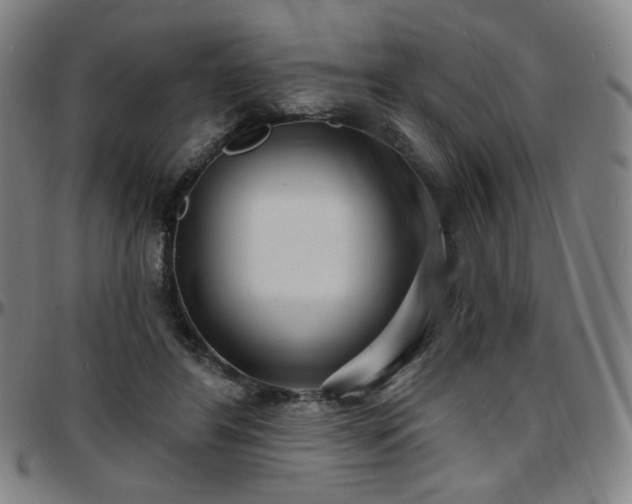X0000097630404200802291345