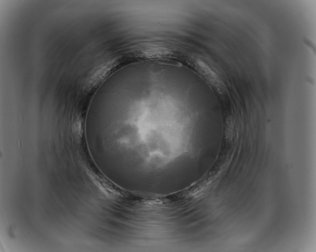 X0000097630405200802291345