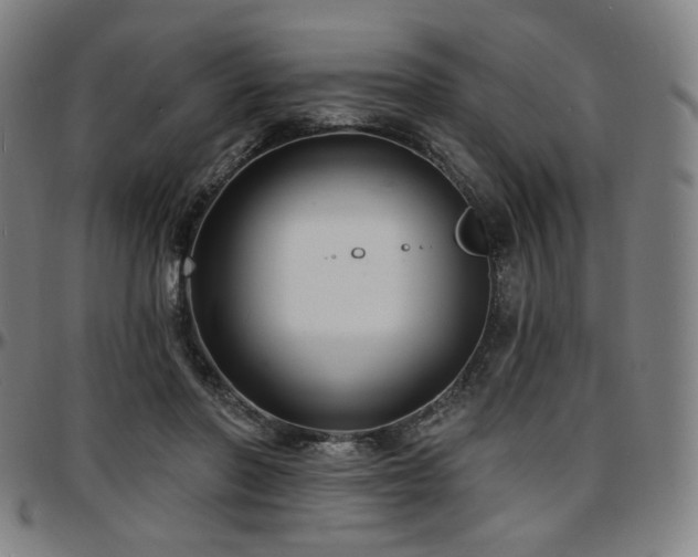 X0000097630406200802291345