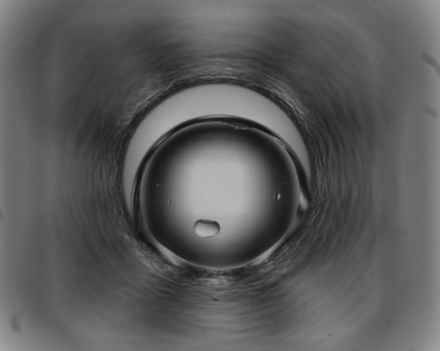 X0000097630411200802291345