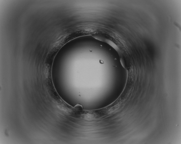 X0000097630412200802291345