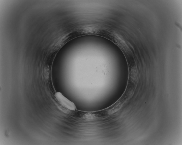 X0000097630413200802291345