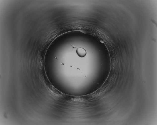 X0000097630414200802291345