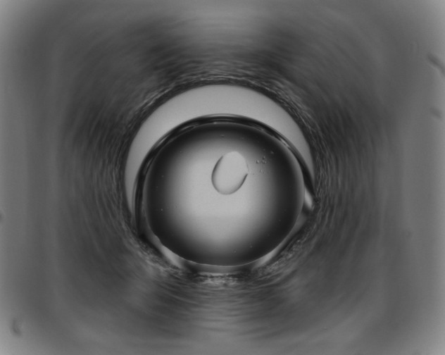 X0000097630415200802291345