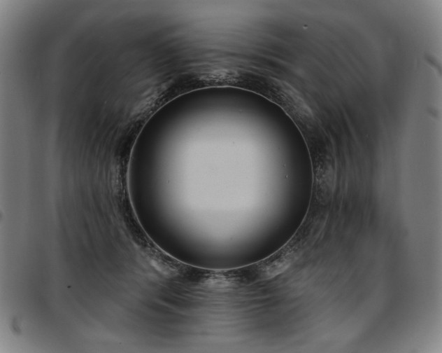 X0000097630416200802291345