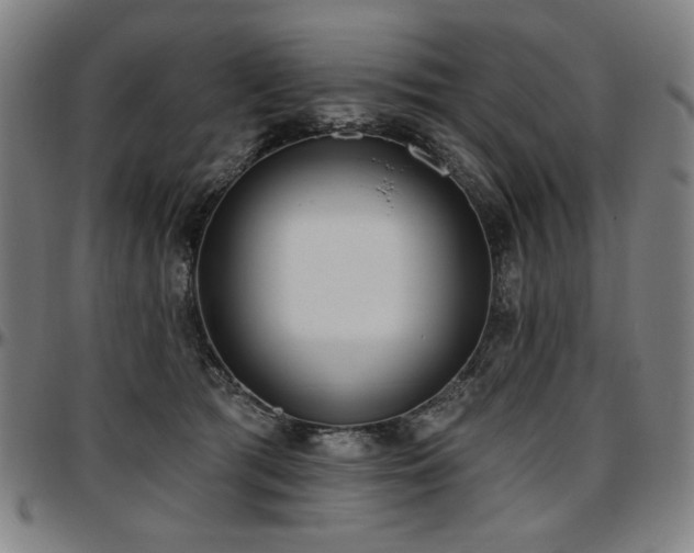 X0000097630417200802291345