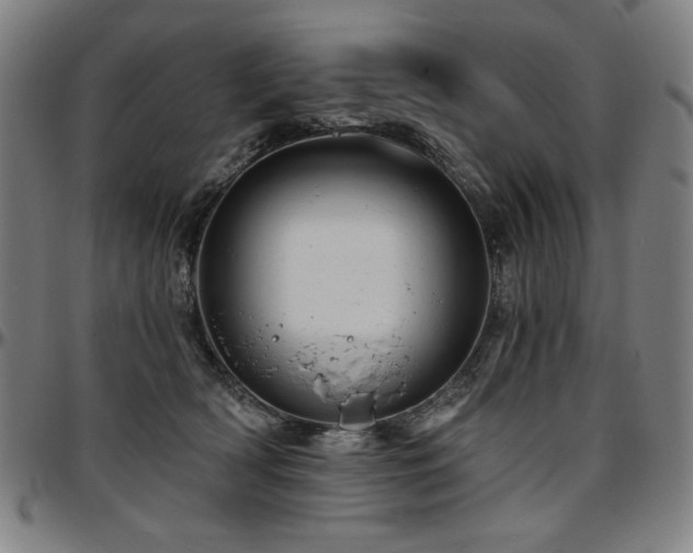 X0000097630418200802291345