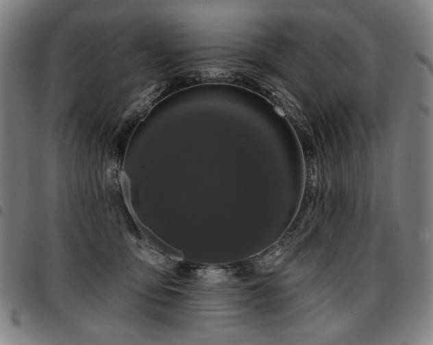 X0000097630419200802291345