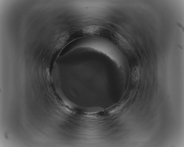 X0000097630420200802291345