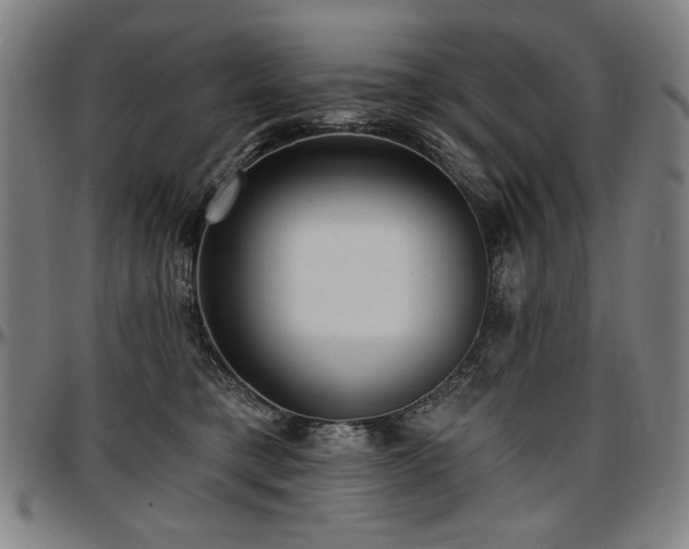 X0000097630421200802291345